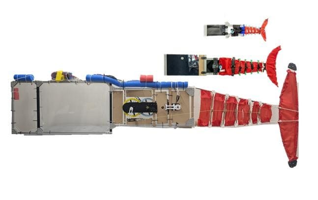 Robotic Fish Scales Nearly Fivefold While Preserving Swimming Motion