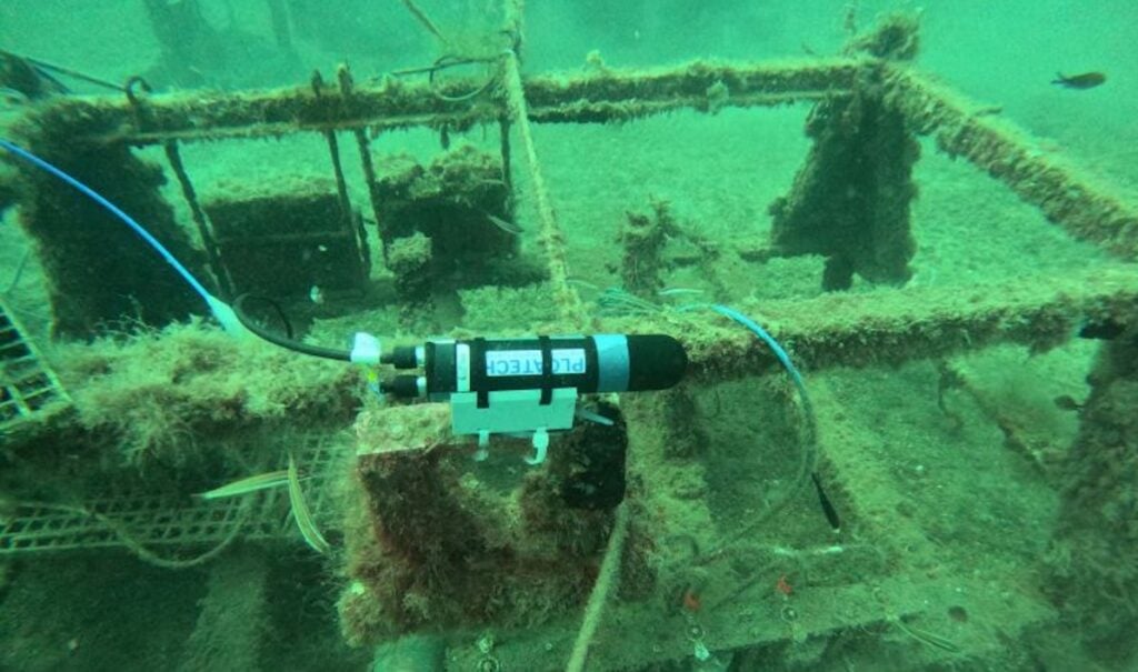Underwater Gamma-Radiation Sensor Set for Long-Term Marine Validation